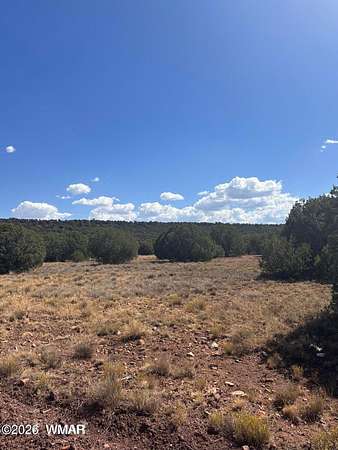 2.19 Acres of Residential Land for Sale in Concho, Arizona