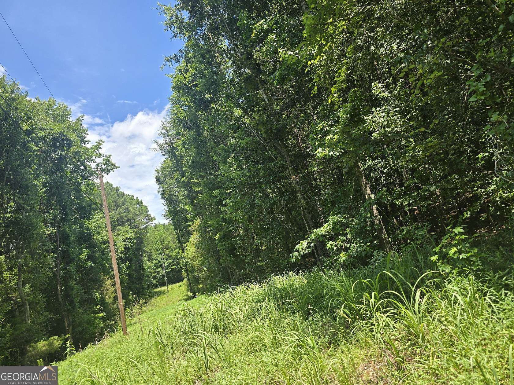 8 Acres of Land for Sale in Cedartown, Georgia