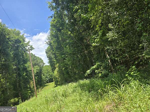 8 Acres of Land for Sale in Cedartown, Georgia