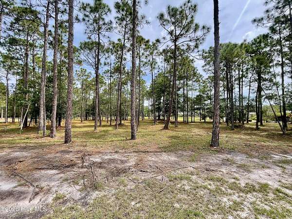 0.32 Acres of Residential Land for Sale in Ocean Isle Beach, North Carolina