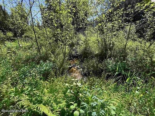 5.32 Acres of Recreational Land for Sale in Priest River, Idaho