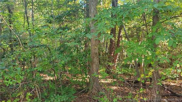 0.25 Acres of Land for Sale in Sanford, North Carolina