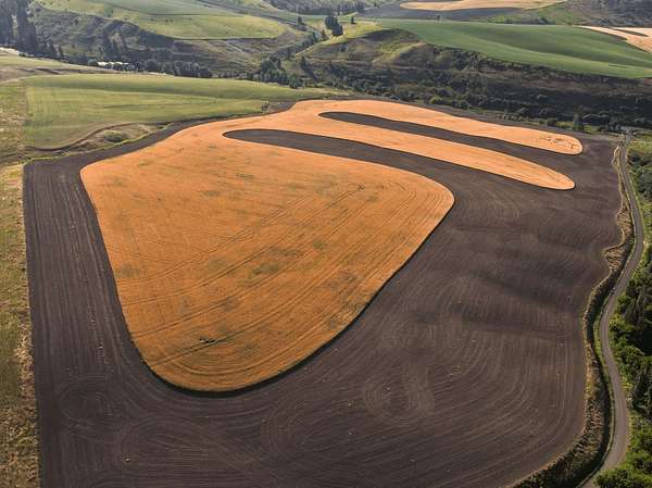 261 Acres of Land for Sale in St. John, Washington