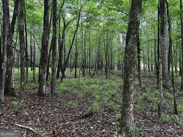 0.75 Acres of Residential Land for Sale in Eatonton, Georgia