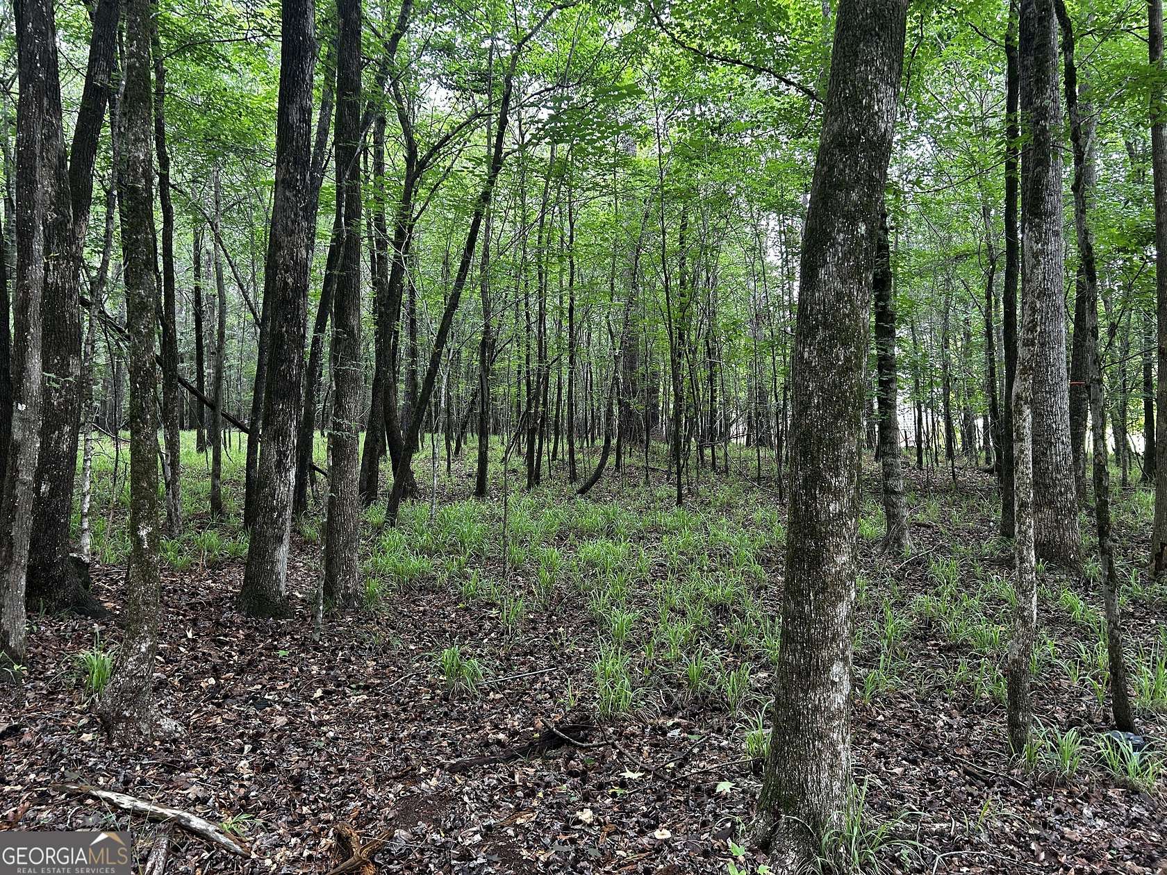 0.72 Acres of Residential Land for Sale in Eatonton, Georgia