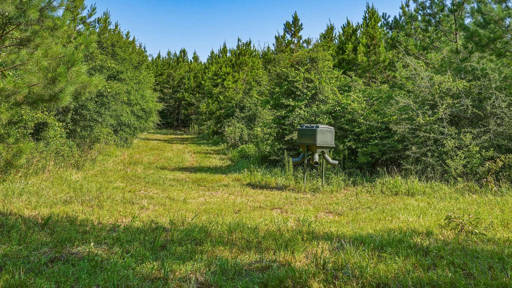 374 Acres of Land for Sale in Americus, Georgia