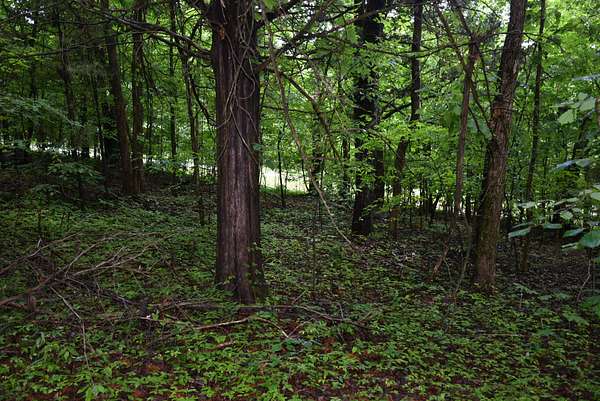 0.2 Acres of Residential Land for Sale in Leitchfield, Kentucky