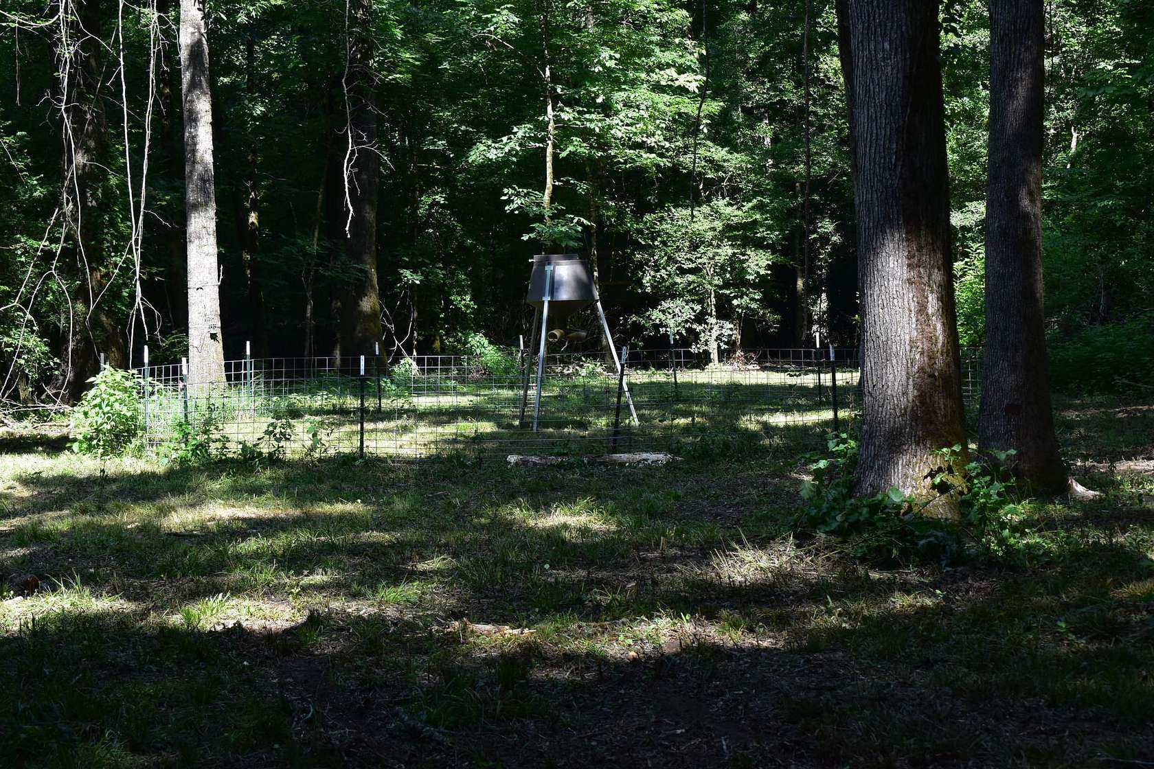 60 Acres of Recreational Land for Sale in Lockesburg, Arkansas