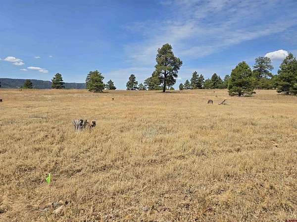 0.23 Acres of Land for Sale in Pagosa Springs, Colorado