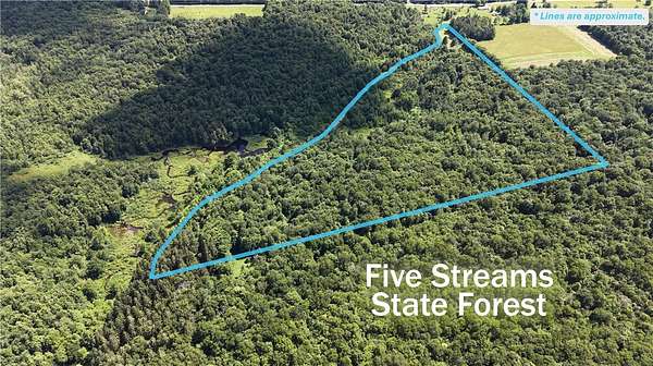 26 Acres of Recreational & Residential Land for Sale in McDonough, New York