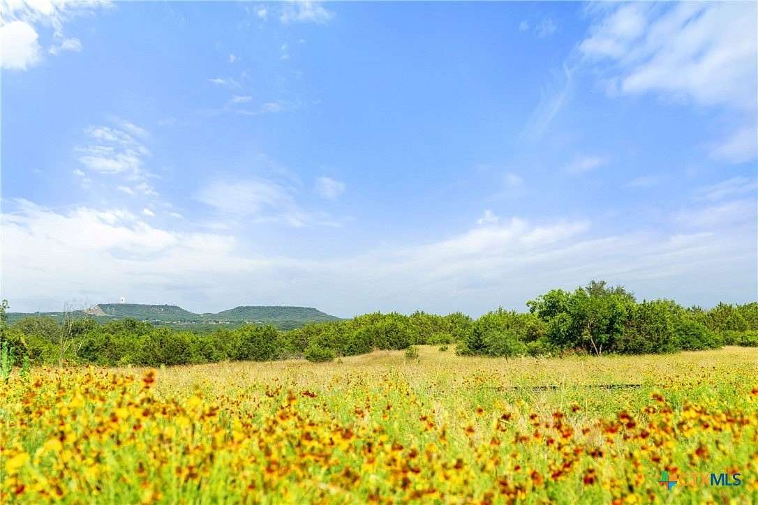 1 Acre of Residential Land for Sale in Kempner, Texas