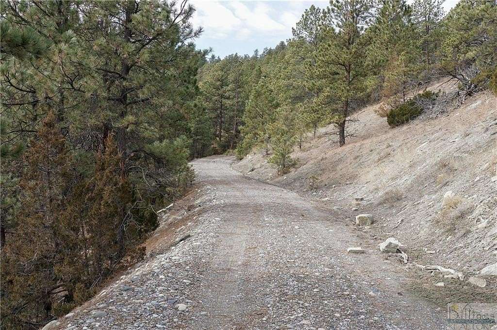 20 Acres of Land for Sale in Columbus, Montana