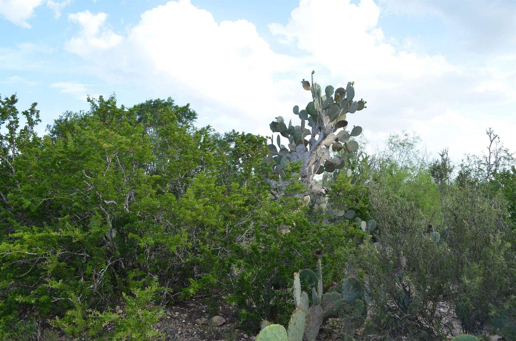 0.97 Acres of Land for Sale in Laredo, Texas