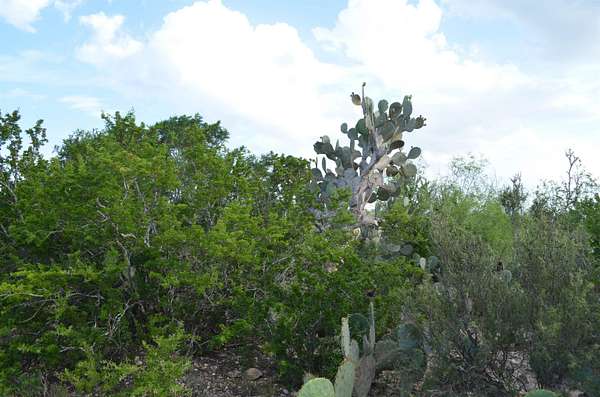0.97 Acres of Land for Sale in Laredo, Texas
