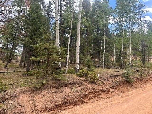 0.29 Acres of Land for Sale in Florissant, Colorado