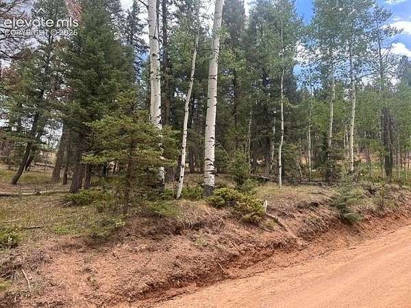 0.29 Acres of Land for Sale in Florissant, Colorado