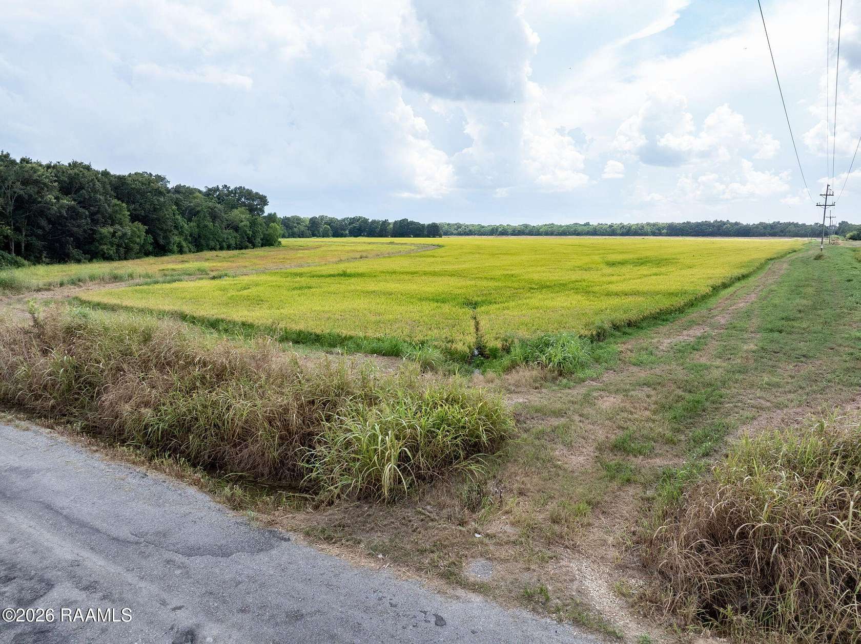 59.4 Acres of Recreational Land for Sale in Crowley, Louisiana