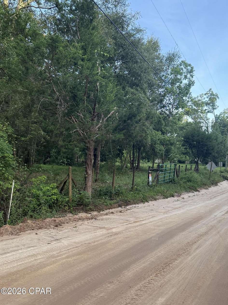 13.6 Acres of Land for Sale in Bonifay, Florida