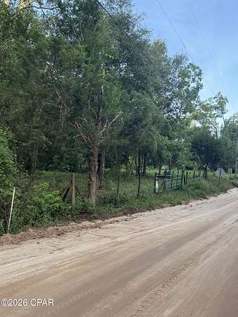 13.6 Acres of Land for Sale in Bonifay, Florida