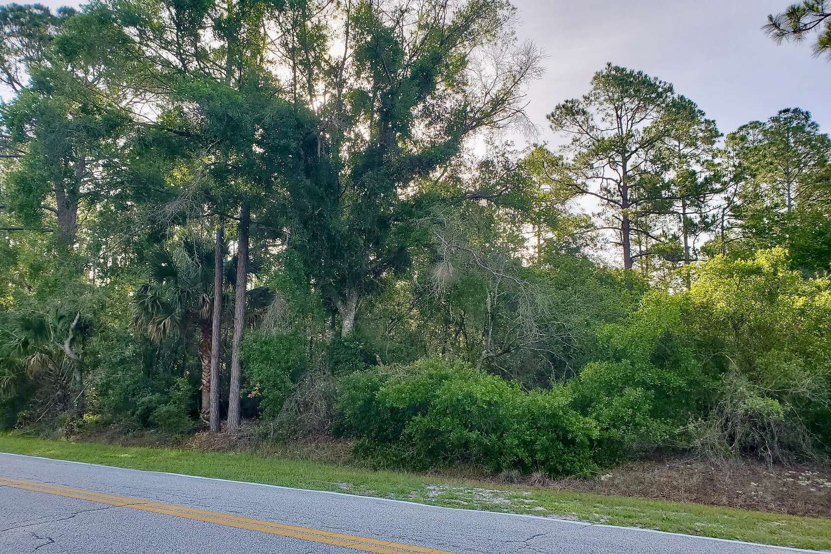 0.3 Acres of Residential Land for Sale in Georgetown, Florida