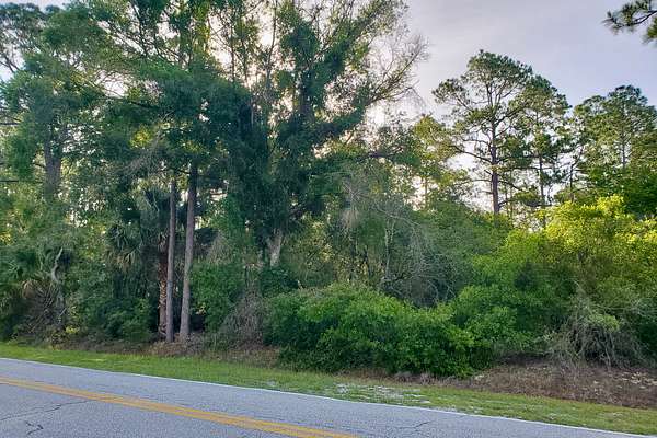 0.3 Acres of Residential Land for Sale in Georgetown, Florida