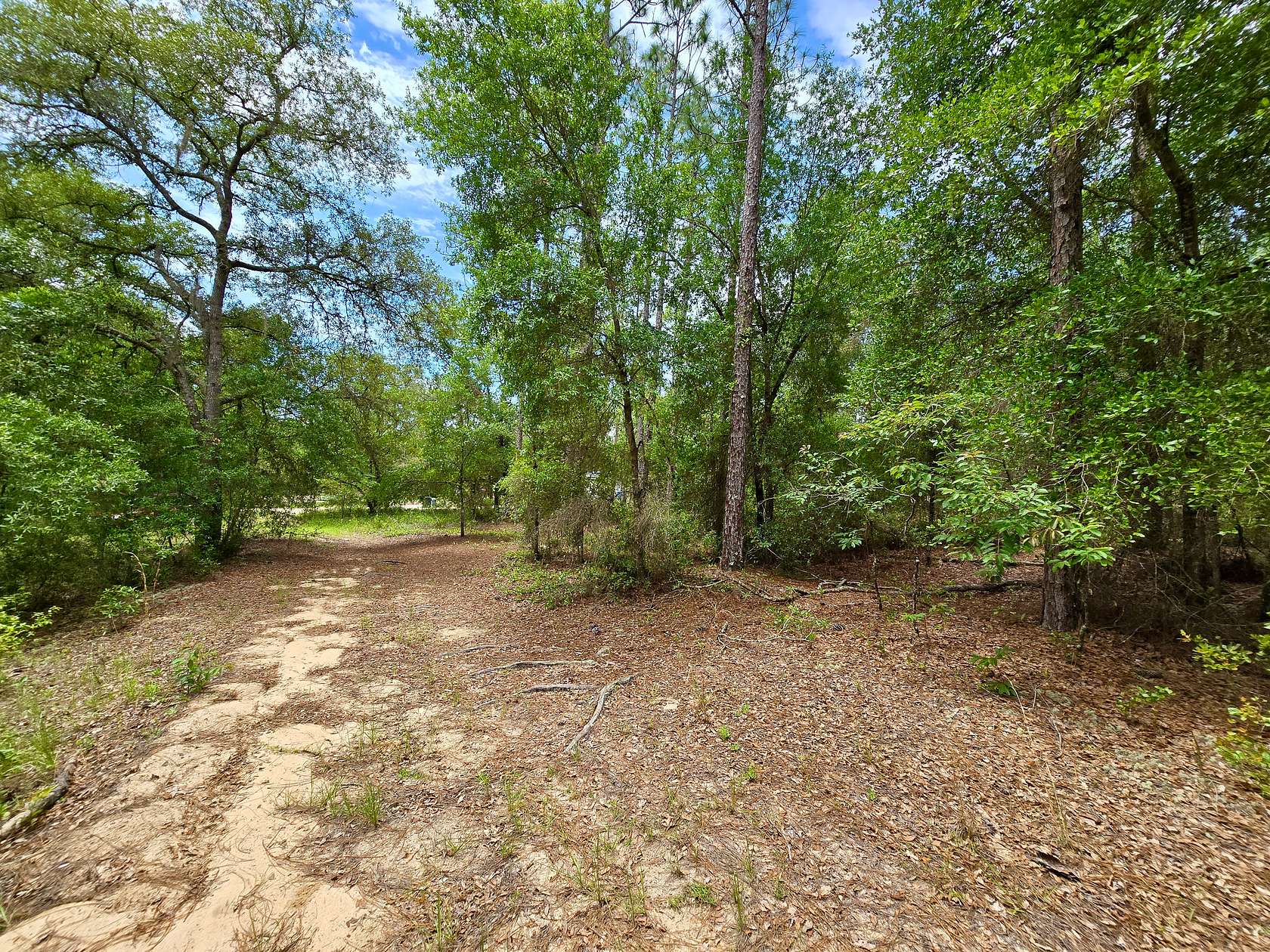 0.55 Acres of Residential Land for Sale in Interlachen, Florida
