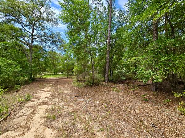 0.55 Acres of Residential Land for Sale in Interlachen, Florida