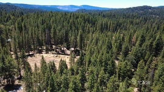 5 Acres of Land for Sale in Hayfork, California