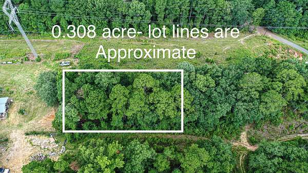 0.3 Acres of Residential Land for Sale in Harleton, Texas