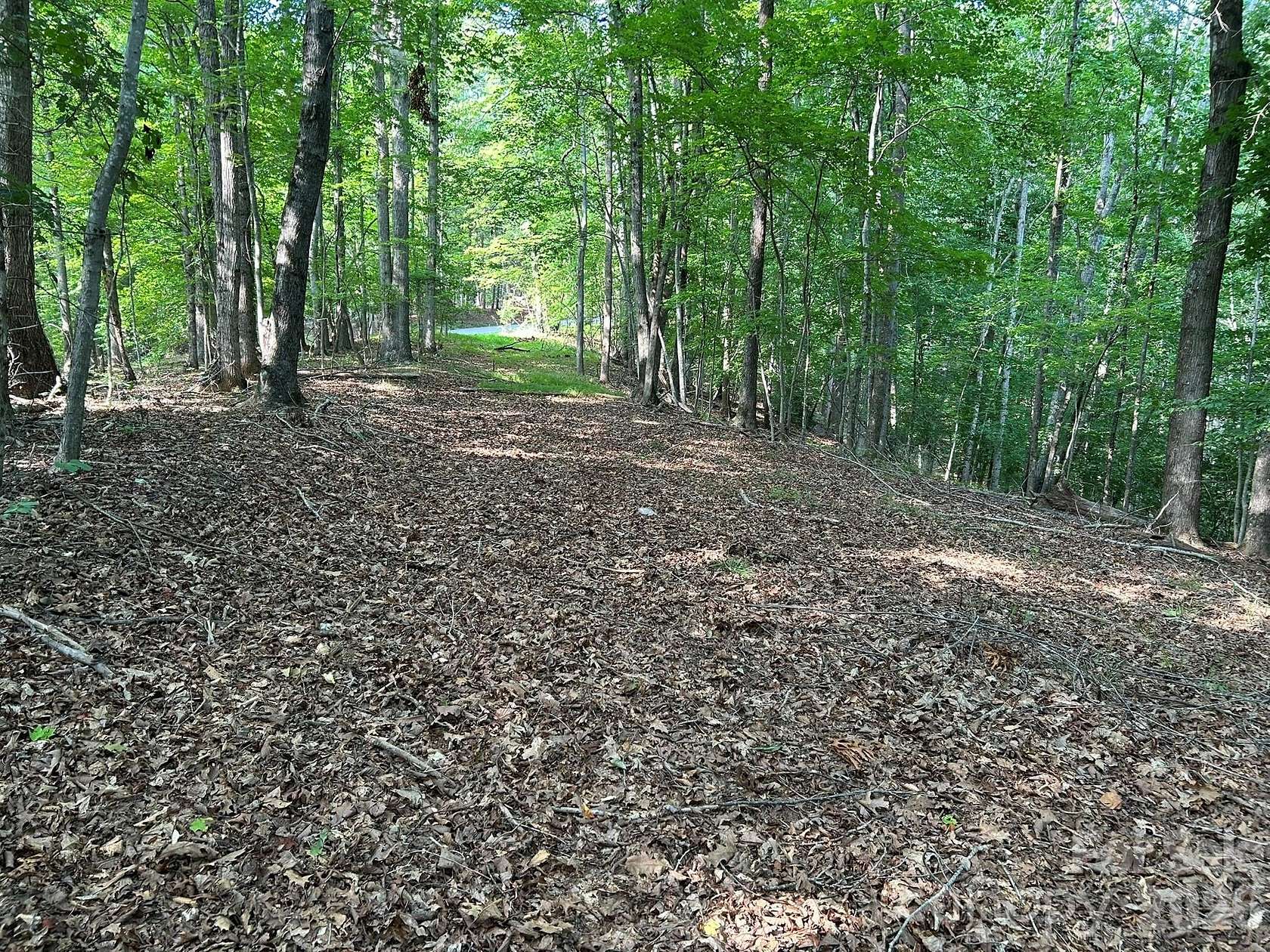 10.8 Acres of Land for Sale in Rutherfordton, North Carolina
