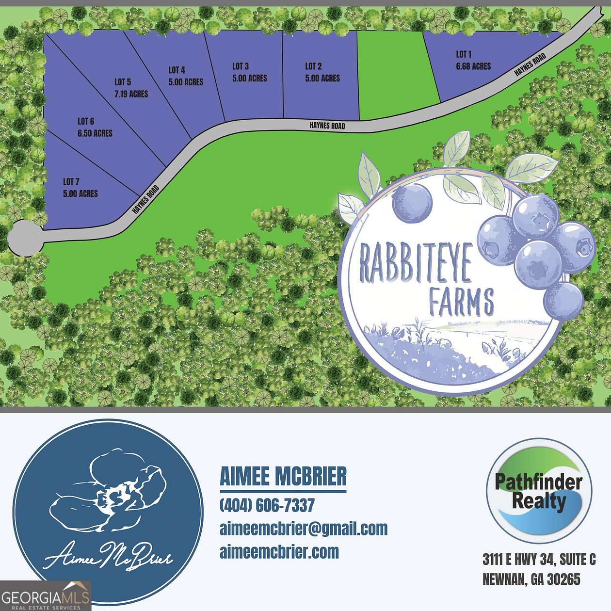 6.68 Acres of Land for Sale in Moreland, Georgia