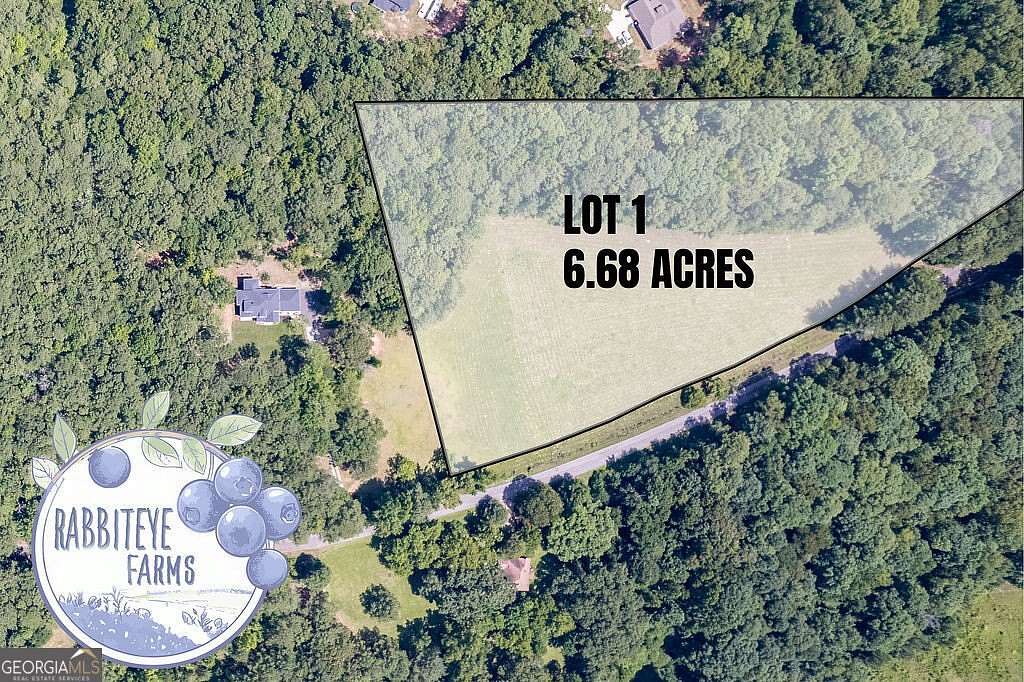 6.68 Acres of Land for Sale in Moreland, Georgia