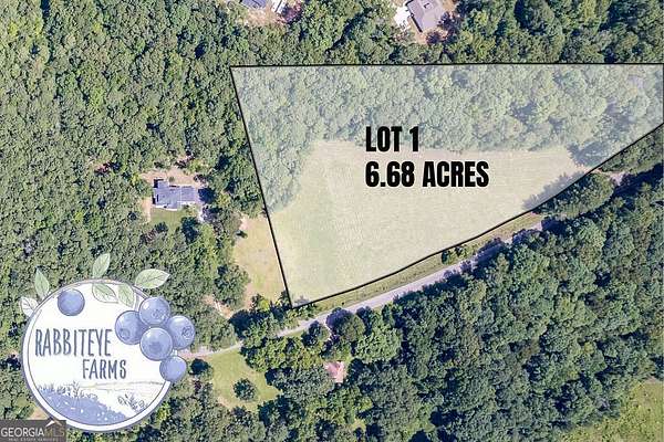 6.68 Acres of Land for Sale in Moreland, Georgia