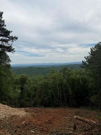 1.1 Acres of Residential Land for Sale in Blue Ridge, Georgia