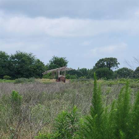 10 Acres of Land for Sale in Gilmer, Texas