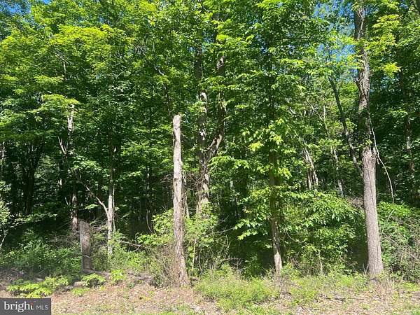8.73 Acres of Residential Land for Sale in Berkeley Springs, West Virginia