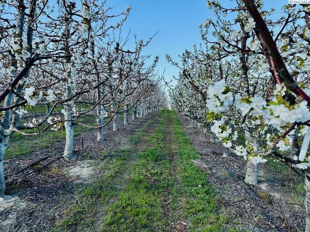 25.4 Acres of Agricultural Land for Sale in Kennewick, Washington