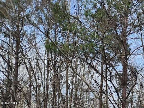6.2 Acres of Residential Land for Sale in Knoxville, Georgia