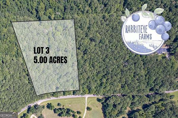 5 Acres of Land for Sale in Moreland, Georgia