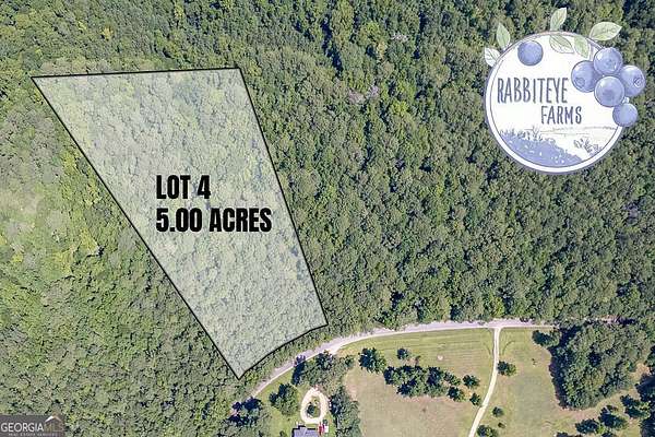 5 Acres of Land for Sale in Moreland, Georgia