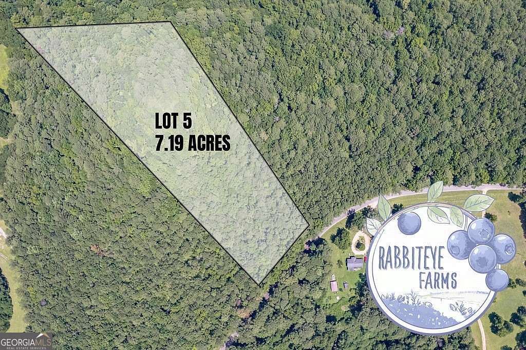 7.19 Acres of Land for Sale in Moreland, Georgia