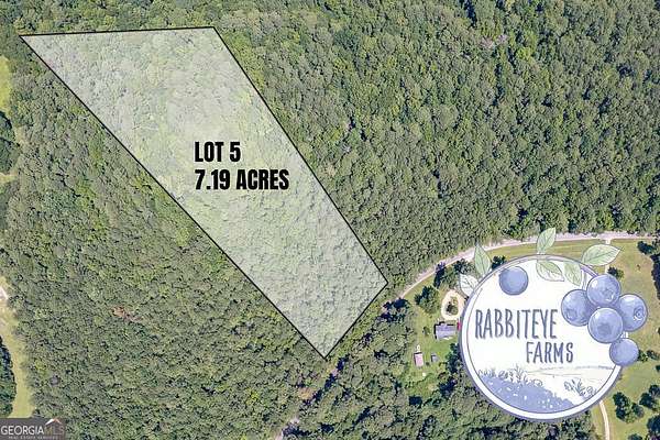 7.19 Acres of Land for Sale in Moreland, Georgia