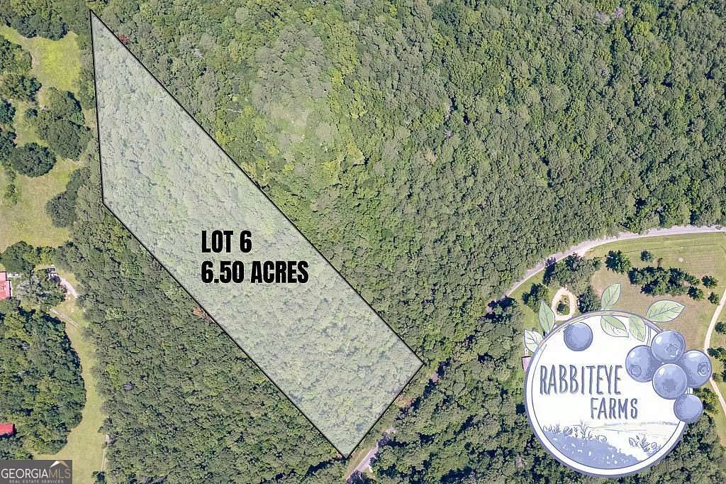 6.5 Acres of Land for Sale in Moreland, Georgia