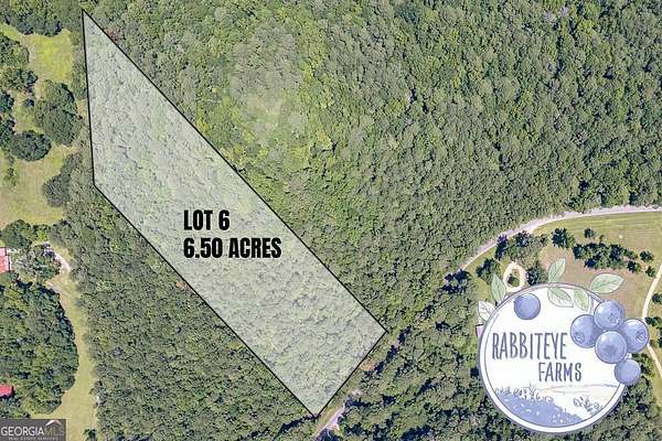6.5 Acres of Land for Sale in Moreland, Georgia
