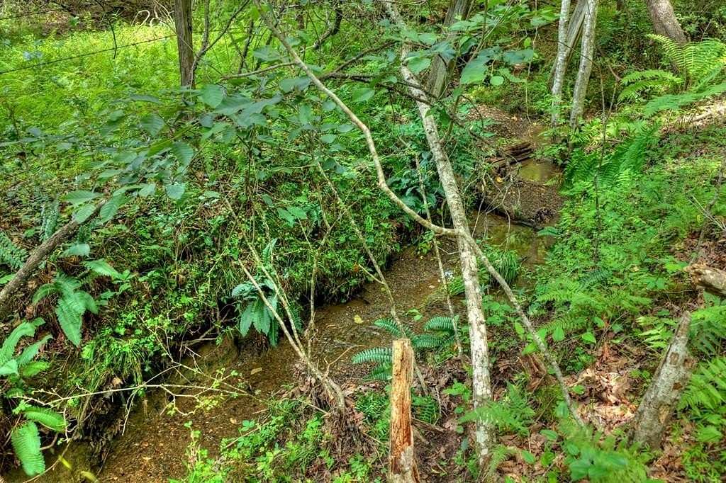 64.9 Acres of Land for Sale in Mineral Bluff, Georgia