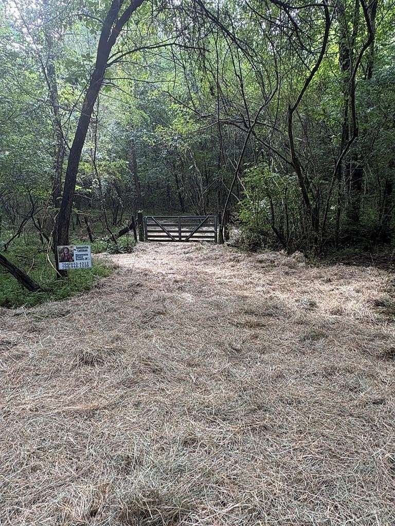 64.9 Acres of Land for Sale in Mineral Bluff, Georgia