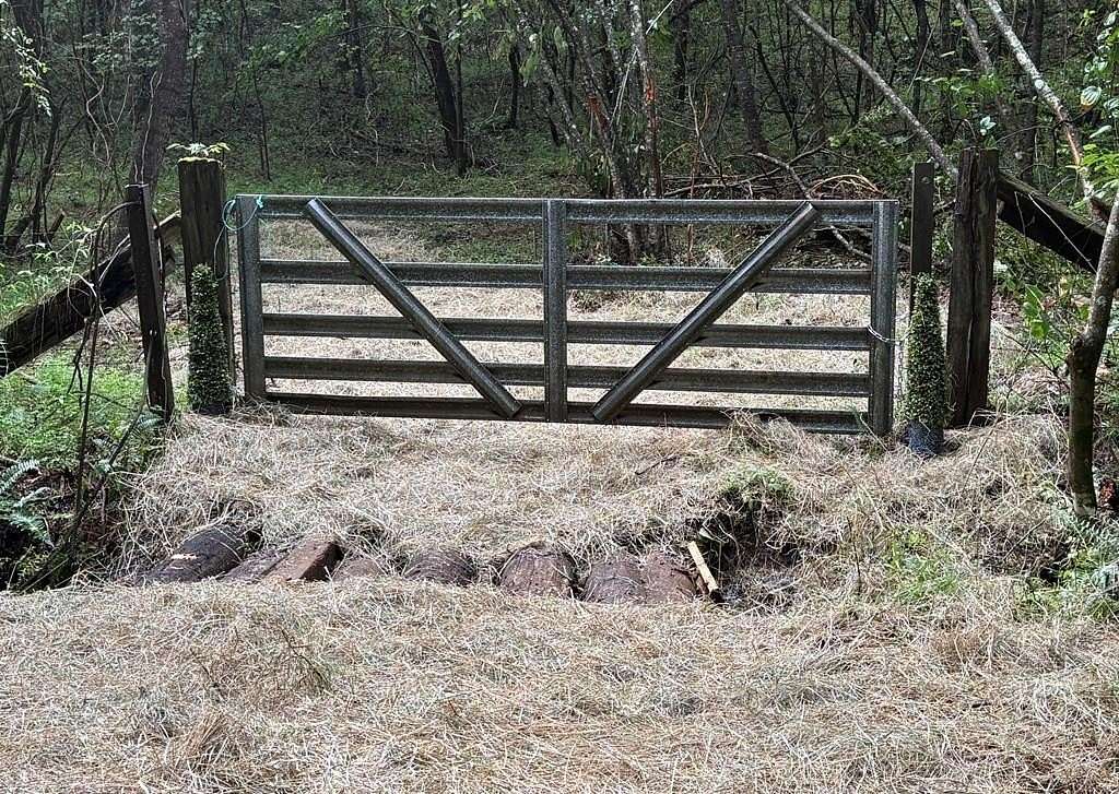 64.9 Acres of Land for Sale in Mineral Bluff, Georgia