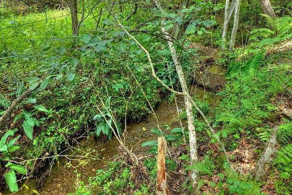 64.9 Acres of Land for Sale in Mineral Bluff, Georgia