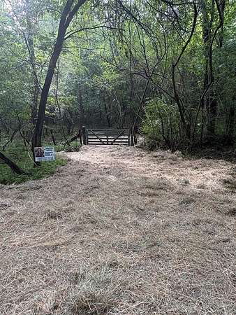64.9 Acres of Land for Sale in Mineral Bluff, Georgia