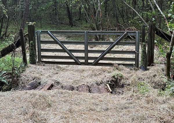 64.9 Acres of Land for Sale in Mineral Bluff, Georgia